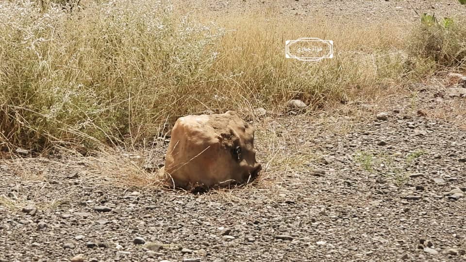 مقتل طفلة بعبوة متفجرة زرعتها المليشيات الحوثية شمال شرقي مديرية الحشاء
