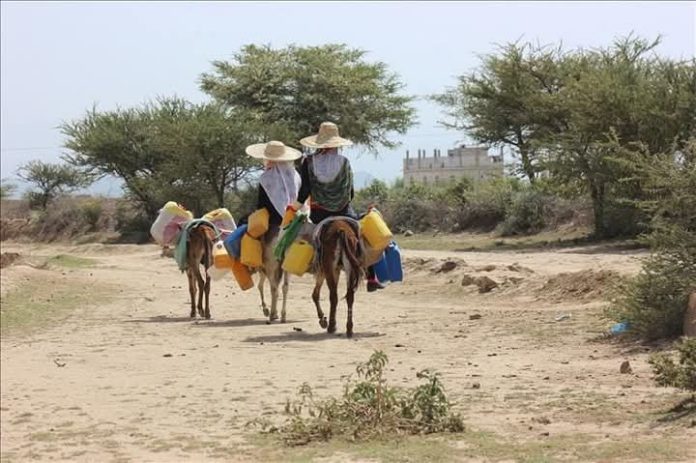 الكشف عن حجم الخسائر التي ستلحق باليمن خلال 2040م